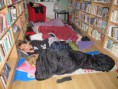 /album/fotogalerie34/img-4671-jpg/