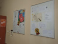 /album/fotogalerie-jizni-morava-cte-2024/img-20250225-130058-jpg1/